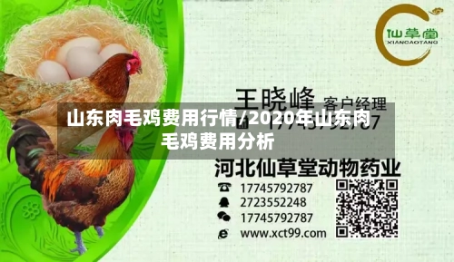 山东肉毛鸡费用行情/2020年山东肉毛鸡费用分析