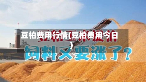 豆柏费用行情(豆柏费用今日)-第2张图片