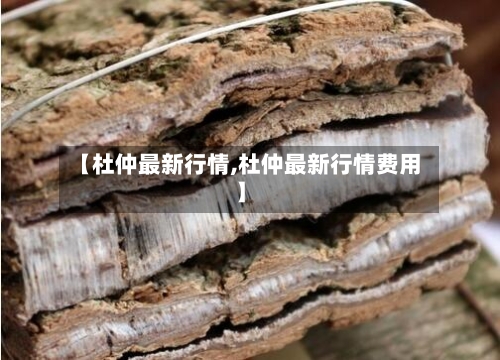 【杜仲最新行情,杜仲最新行情费用】-第2张图片