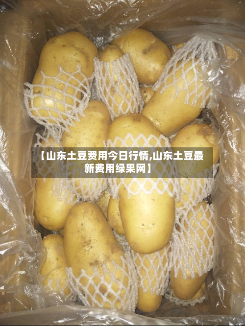 【山东土豆费用今日行情,山东土豆最新费用绿果网】-第2张图片