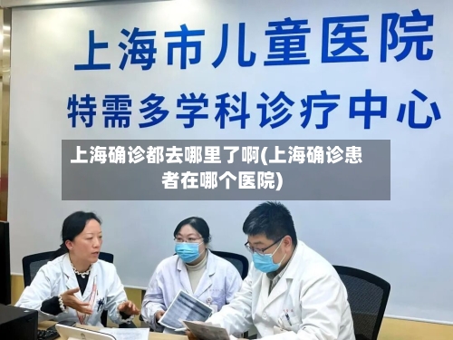 上海确诊都去哪里了啊(上海确诊患者在哪个医院)-第2张图片