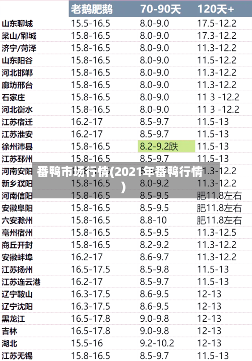 番鸭市场行情(2021年番鸭行情)-第2张图片