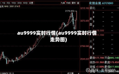 au9999实时行情(au9999实时行情走势图)