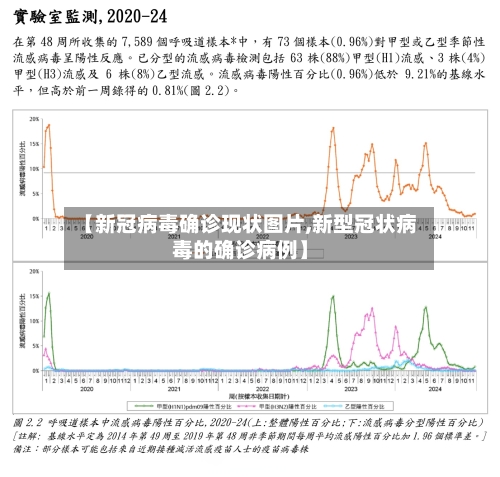 【新冠病毒确诊现状图片,新型冠状病毒的确诊病例】