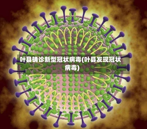 叶县确诊新型冠状病毒(叶县发现冠状病毒)-第3张图片