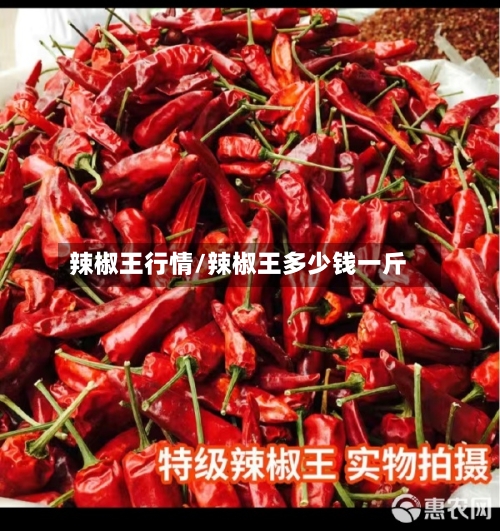 辣椒王行情/辣椒王多少钱一斤-第3张图片