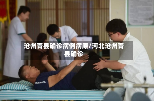 沧州青县确诊病例病原/河北沧州青县确诊-第2张图片