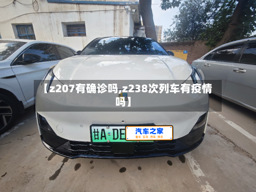 【z207有确诊吗,z238次列车有疫情吗】-第2张图片