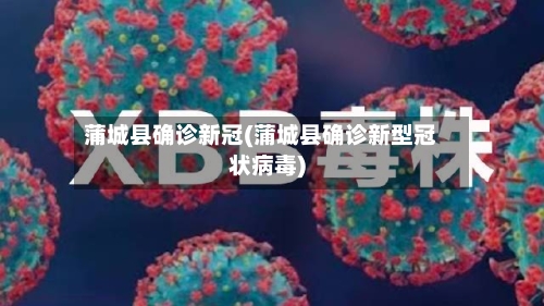蒲城县确诊新冠(蒲城县确诊新型冠状病毒)-第2张图片