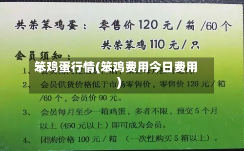 笨鸡蛋行情(笨鸡费用今日费用)