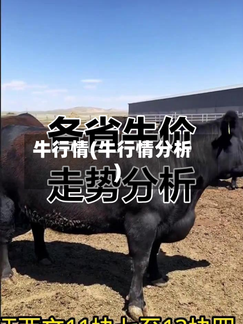 牛行情(牛行情分析)-第2张图片