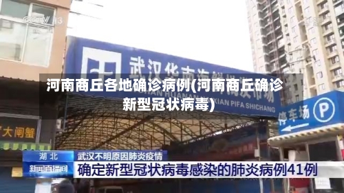 河南商丘各地确诊病例(河南商丘确诊新型冠状病毒)-第3张图片