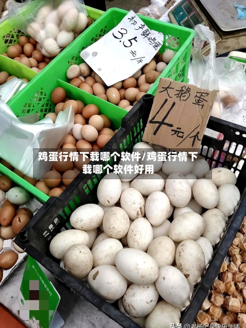 鸡蛋行情下载哪个软件/鸡蛋行情下载哪个软件好用
