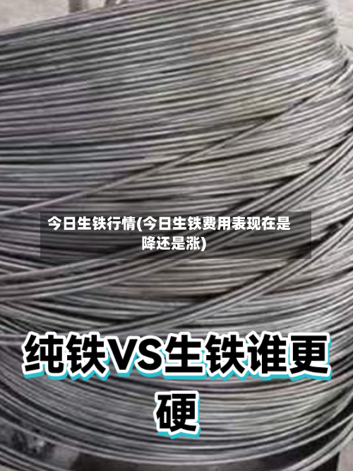 今日生铁行情(今日生铁费用表现在是降还是涨)-第2张图片