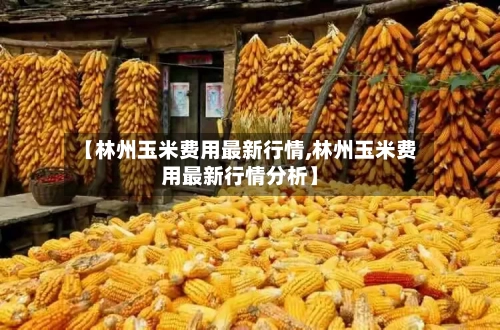 【林州玉米费用最新行情,林州玉米费用最新行情分析】