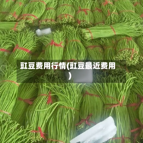 豇豆费用行情(豇豆最近费用)