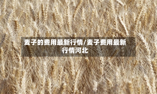 麦子的费用最新行情/麦子费用最新行情河北