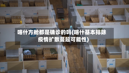 喀什方舱都是确诊的吗(喀什基本排除疫情扩散蔓延可能性)-第3张图片