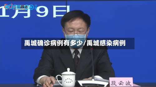 禹城确诊病例有多少/禹城感染病例
