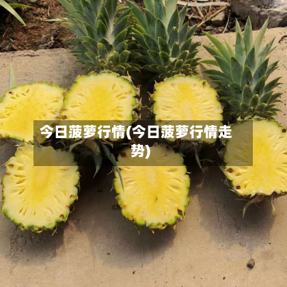 今日菠萝行情(今日菠萝行情走势)-第2张图片
