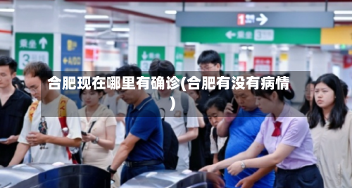 合肥现在哪里有确诊(合肥有没有病情)-第2张图片