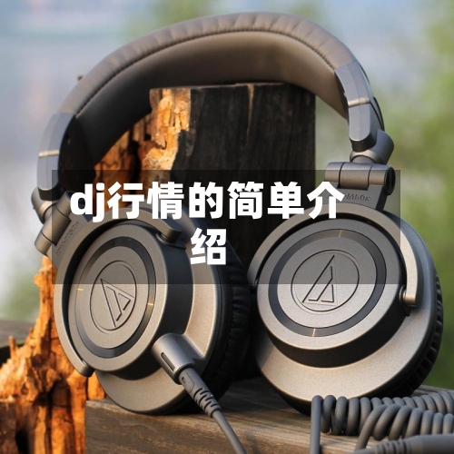 dj行情的简单介绍