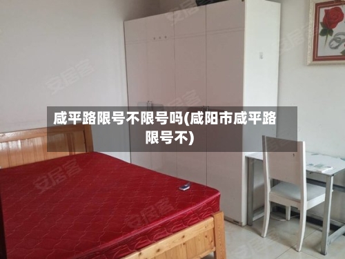 咸平路限号不限号吗(咸阳市咸平路限号不)