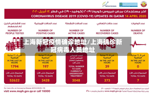 上海新冠疫情确诊地址/上海确诊新冠病毒人员地址-第3张图片