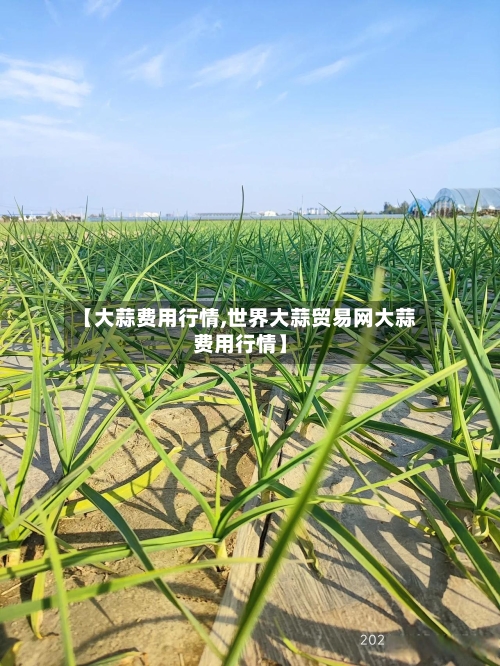 【大蒜费用行情,世界大蒜贸易网大蒜费用行情】-第2张图片