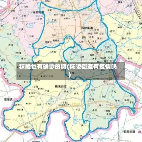 秣陵也有确诊的嘛(秣陵街道有疫情吗)