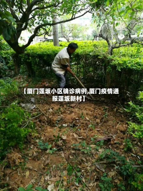 【厦门莲坂小区确诊病例,厦门疫情通报莲坂新村】-第3张图片