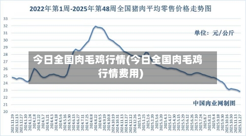 今日全国肉毛鸡行情(今日全国肉毛鸡行情费用)-第2张图片
