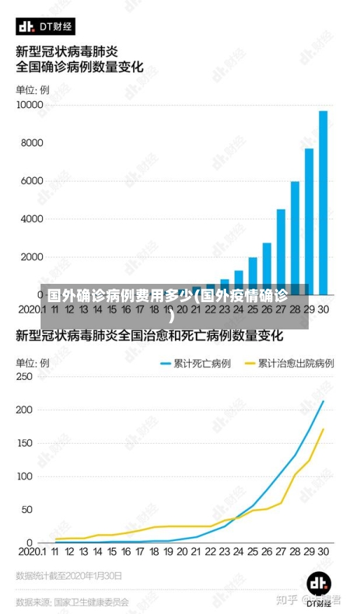 国外确诊病例费用多少(国外疫情确诊)-第2张图片