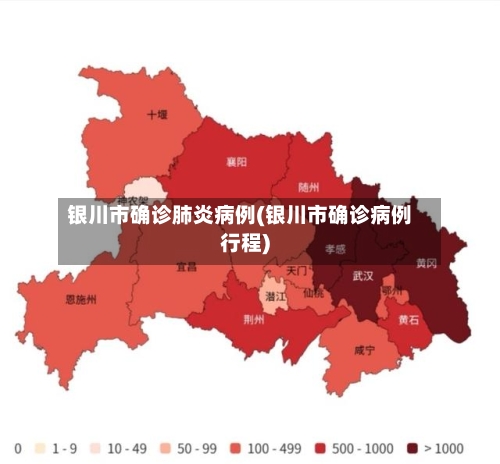 银川市确诊肺炎病例(银川市确诊病例行程)