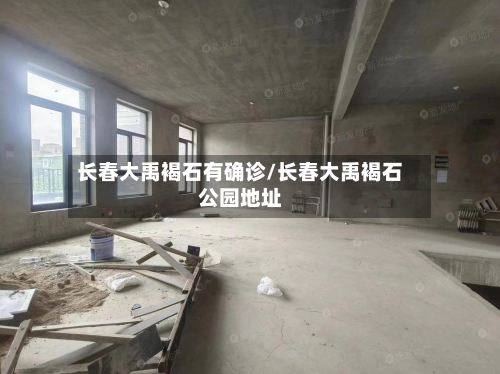 长春大禹褐石有确诊/长春大禹褐石公园地址