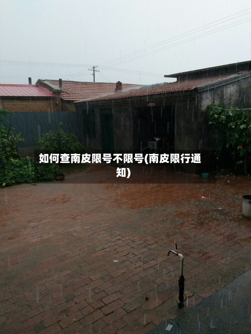 如何查南皮限号不限号(南皮限行通知)