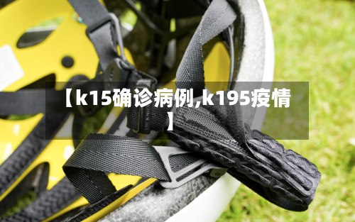 【k15确诊病例,k195疫情】-第2张图片