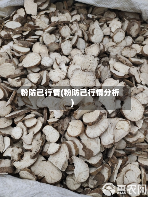 粉防己行情(粉防己行情分析)
