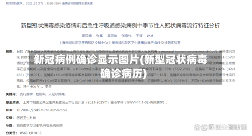 新冠病例确诊显示图片(新型冠状病毒确诊病历)-第2张图片
