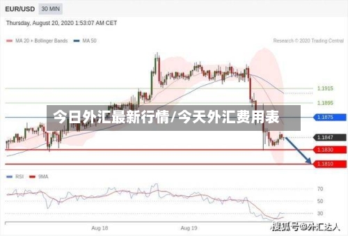今日外汇最新行情/今天外汇费用表