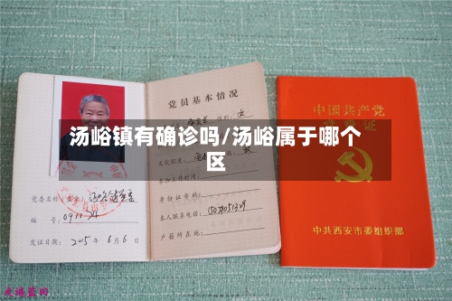 汤峪镇有确诊吗/汤峪属于哪个区