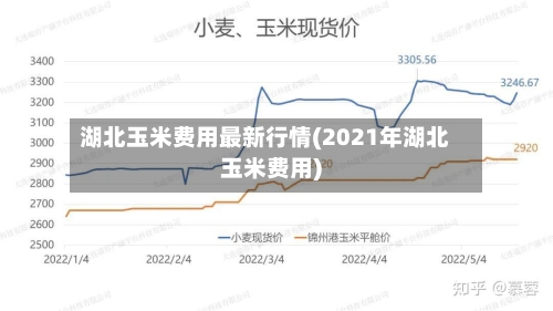 湖北玉米费用最新行情(2021年湖北玉米费用)-第3张图片