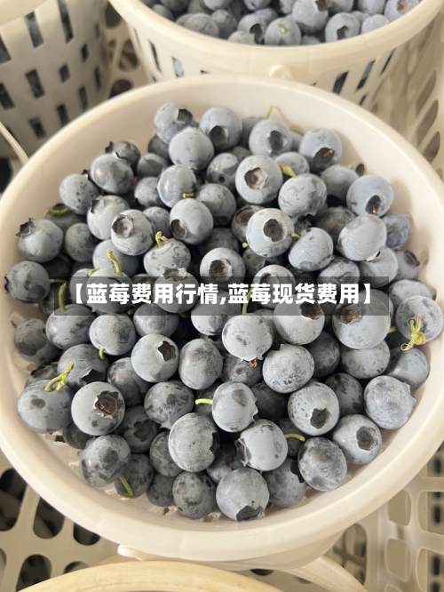 【蓝莓费用行情,蓝莓现货费用】-第2张图片