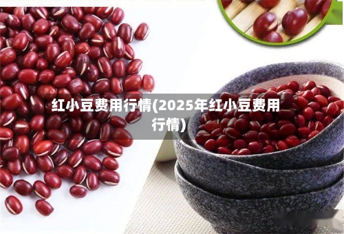 红小豆费用行情(2025年红小豆费用行情)