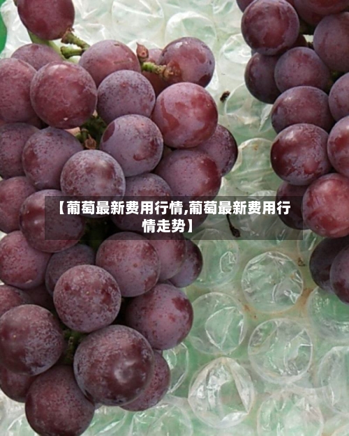 【葡萄最新费用行情,葡萄最新费用行情走势】-第3张图片