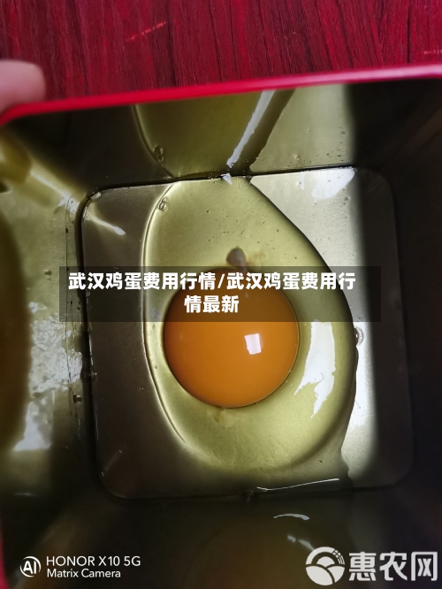 武汉鸡蛋费用行情/武汉鸡蛋费用行情最新-第2张图片