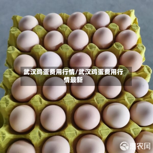 武汉鸡蛋费用行情/武汉鸡蛋费用行情最新