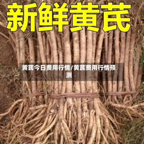 黄芪今日费用行情/黄芪费用行情预测-第3张图片