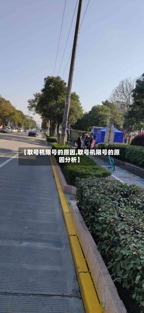 【取号机限号的原因,取号机限号的原因分析】