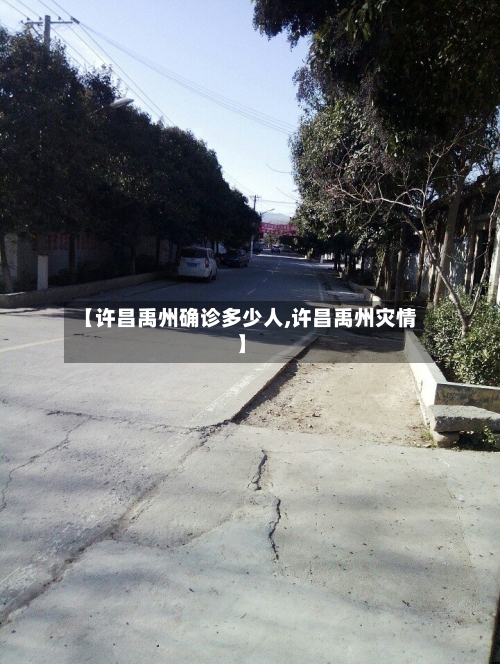 【许昌禹州确诊多少人,许昌禹州灾情】-第2张图片